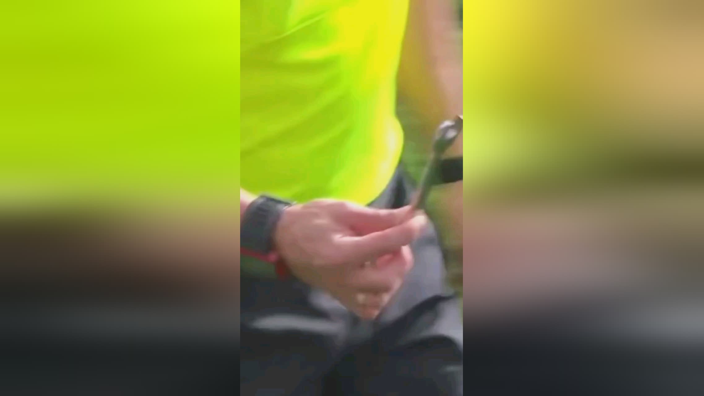 个成功标杆