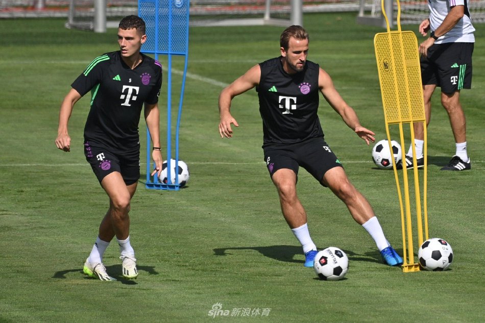 国内顶尖运 国内顶尖运