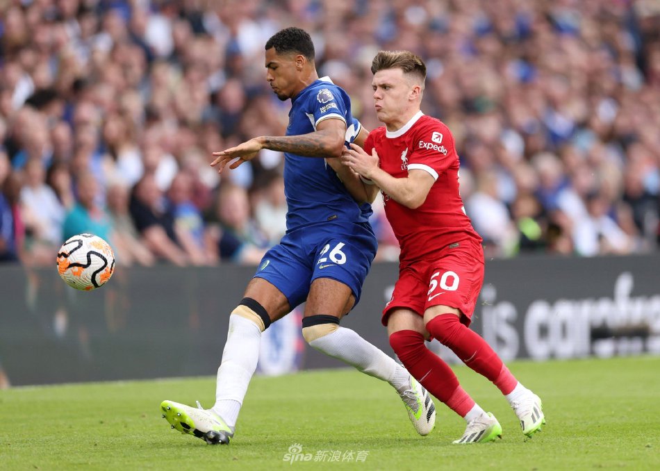 尽管他们属 尽管他们属